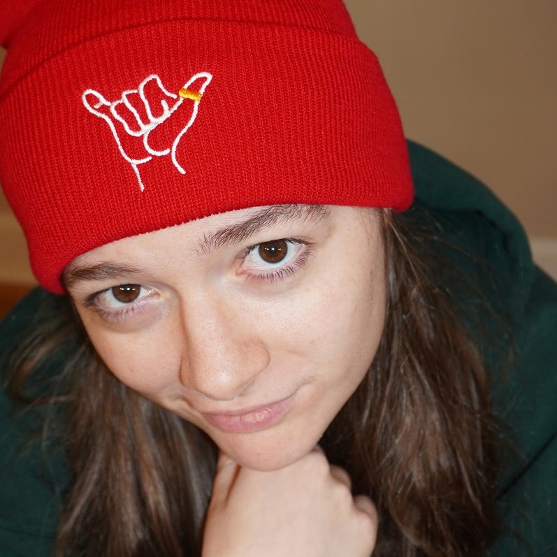 GAY VIBES BEANIE